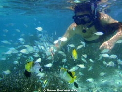 snorkeling by Stavros Paraskevopoulos 